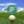 mortongolf