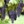 wineblog