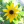 ArbolitoHorticulture