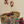 KudosKitchen3