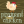 pregnantchicken