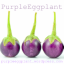 purpleeggplant